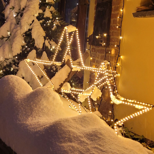Menu per pranzo di Natale 25.12.2025